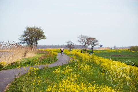 Kinderdijk, Netherlands
