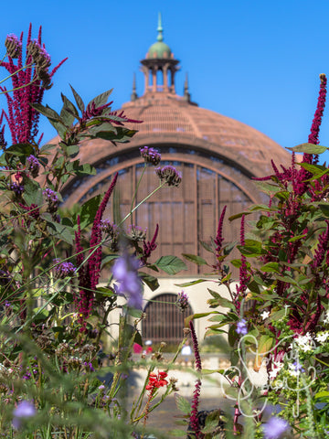 The Botanical Building