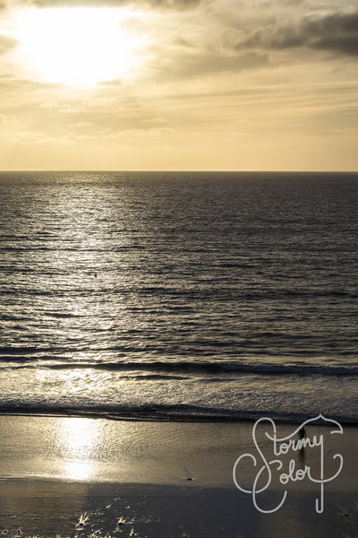 Surf Walker
