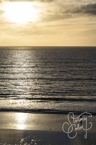 Surf Walker