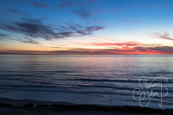 Torrey Pines State Beach