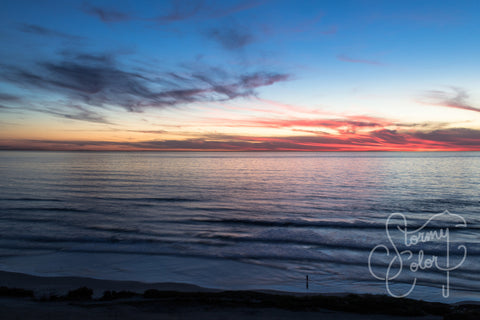 Torrey Pines State Beach