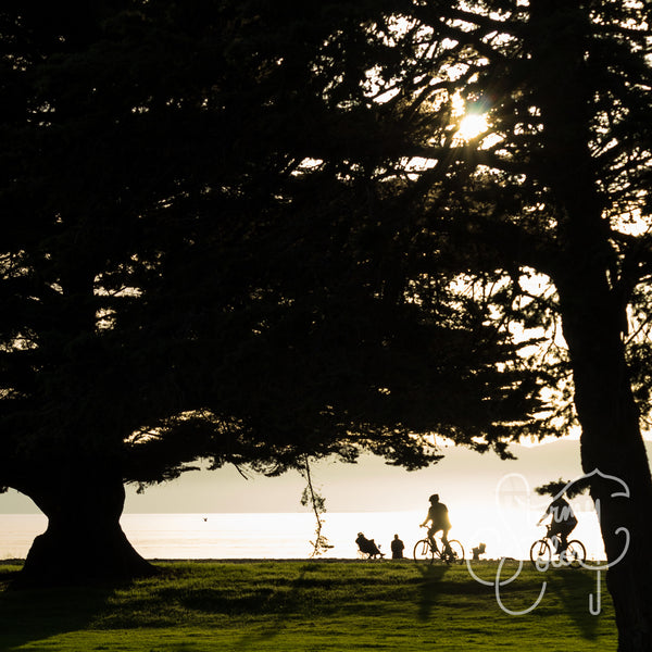 Sunshine Riders