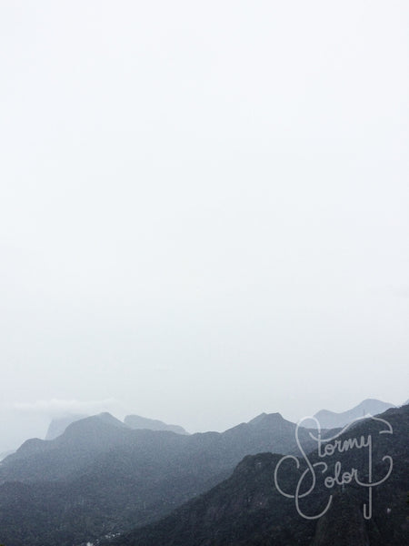 Tijuca Forest, Rio de Janeiro, Brazil