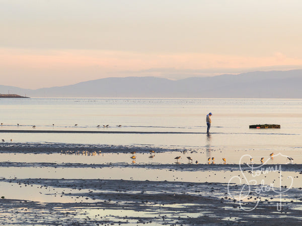 Shoreline Beach