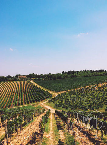 All Lines Lead to Tuscany
