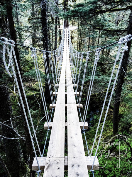 Suspension Bridge, Seward, Alaska