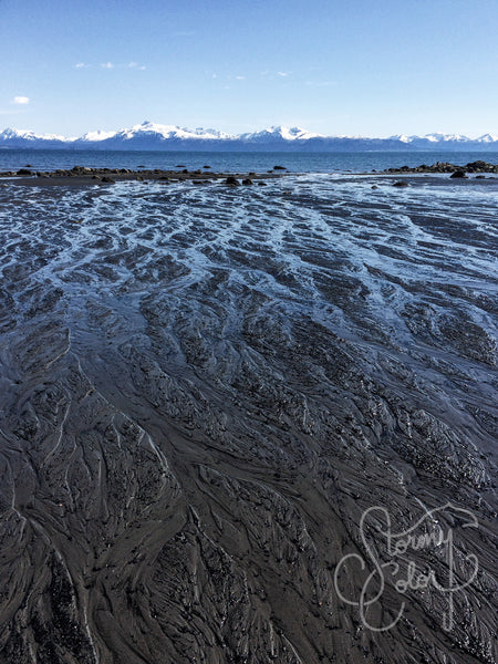 Bishop’s Beach, Alaska 2