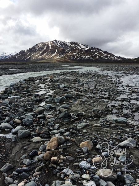 Denali National Park, Alaska