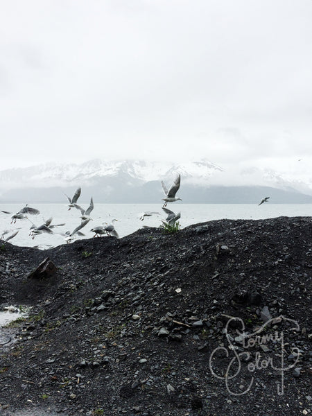 Lowell Point, Alaska 2