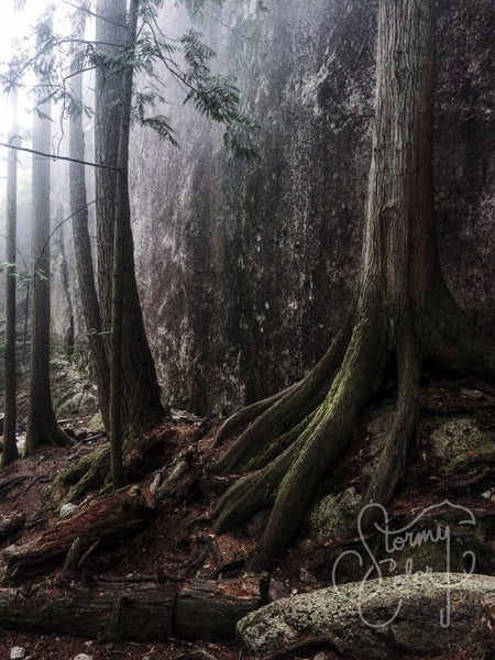 Stawamus Chief Provincial Park, BC, Canada