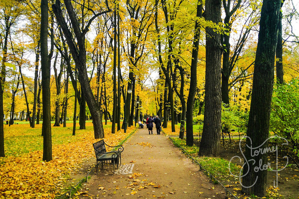 Autumn's Touch