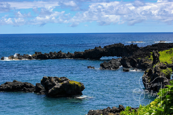 Black Rocks