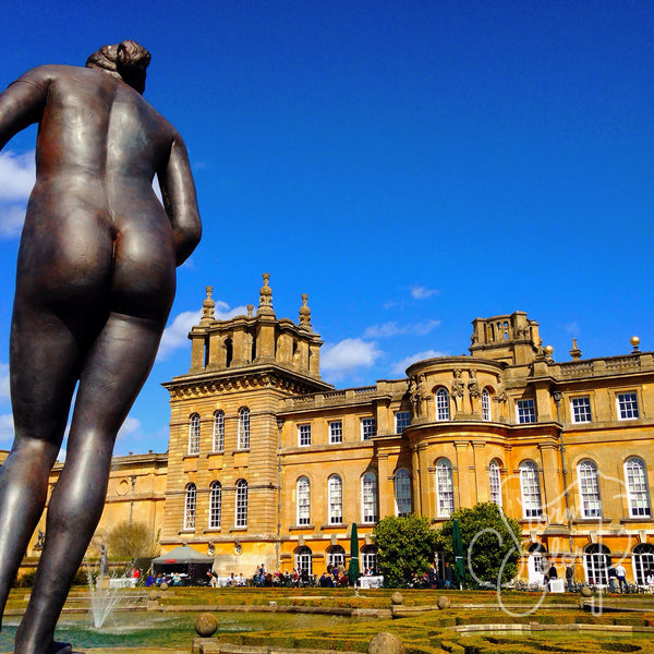 Check Out Her Blenheim