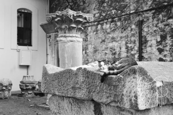 Nap