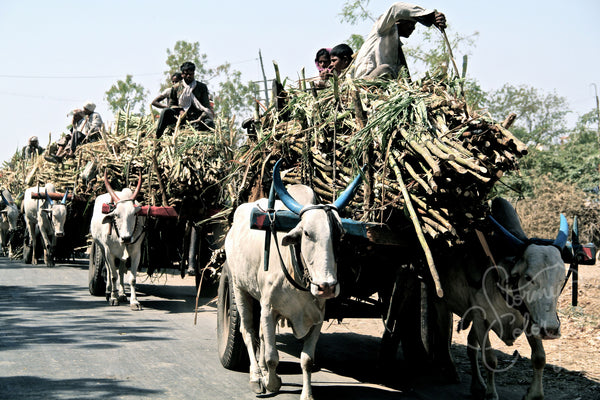 Procession