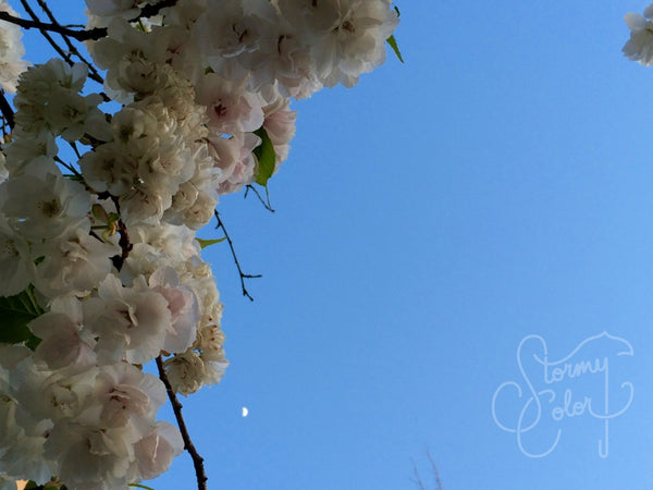 Afternoon Moon