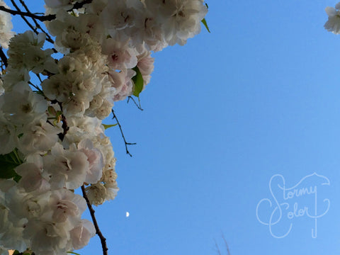 Afternoon Moon