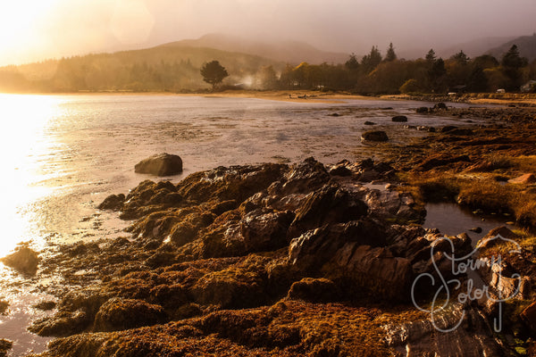 Island Life, Arran