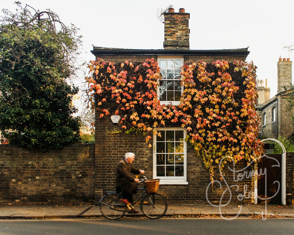 Ivy Cottage