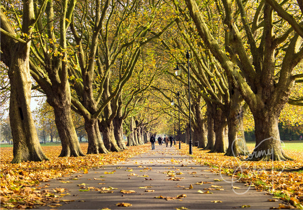 Jesus Green