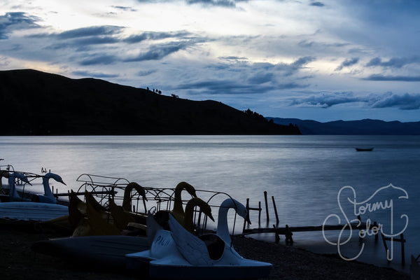 Swan Lake, Titicaca
