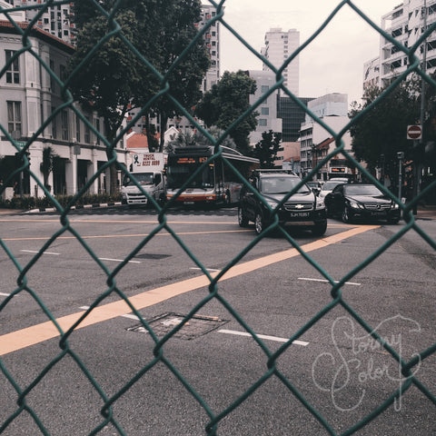 Through the Fence