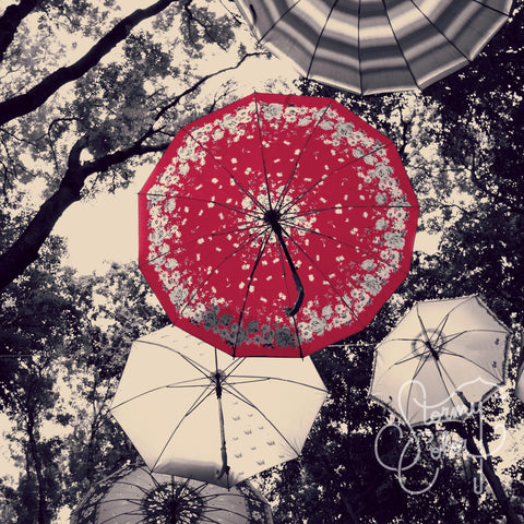 Always Look Up