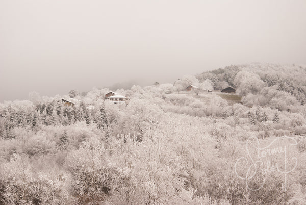 Whiteness